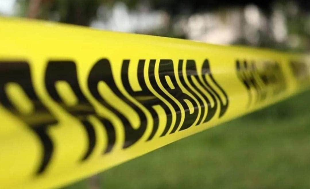 Van 102 ambientalistas asesinados en el sexenio de López Obrador