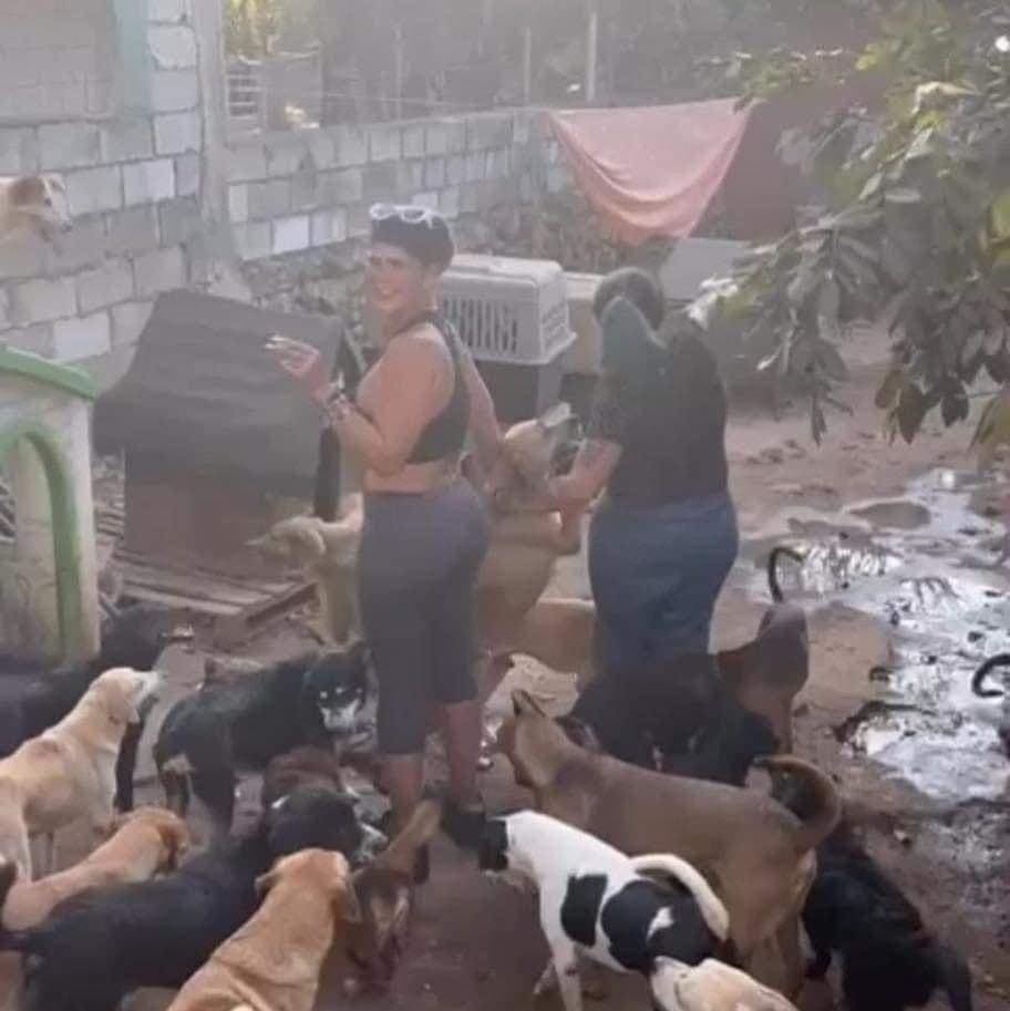 ¡Tiene buen corazón! Sorprende Niurka al apoyar albergue de perritos en Yucatán
