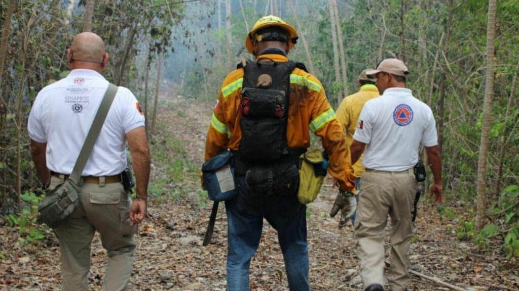 Recomendaciones ante incendios forestales
