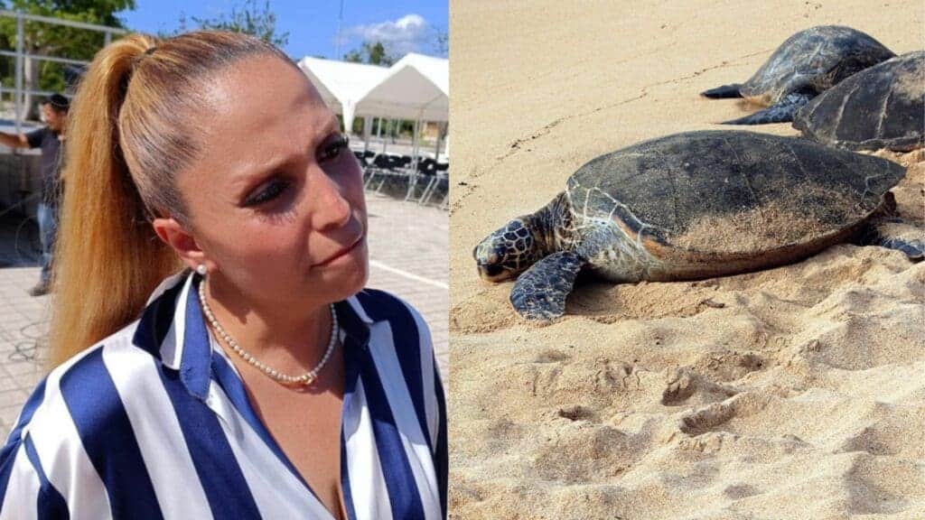 Permisos para obra en Playa Paraíso fueron entregados por exfuncionaria investigada por presuntas irregularidades