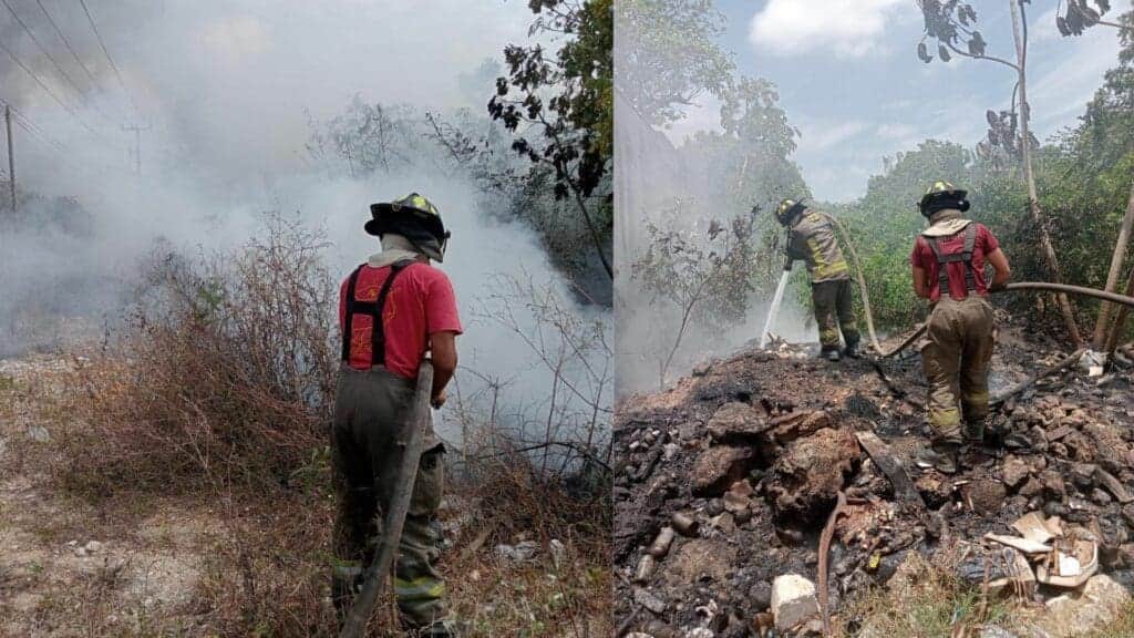 Confirman primer incendio forestal de la temporada en Cancún