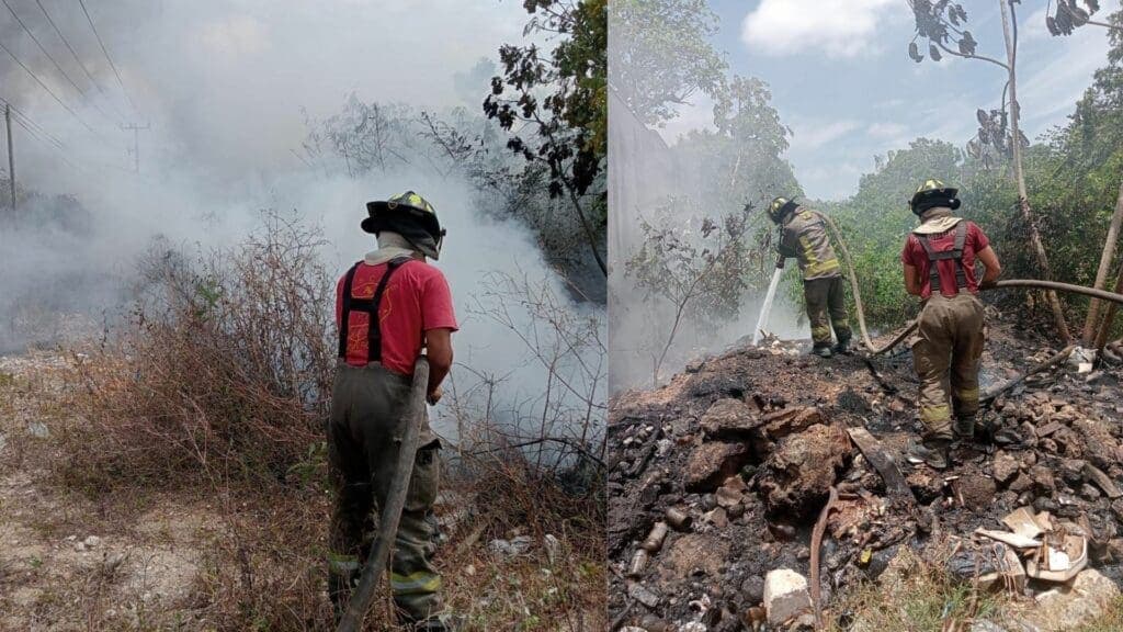 Confirman primer incendio forestal de la temporada en Cancún