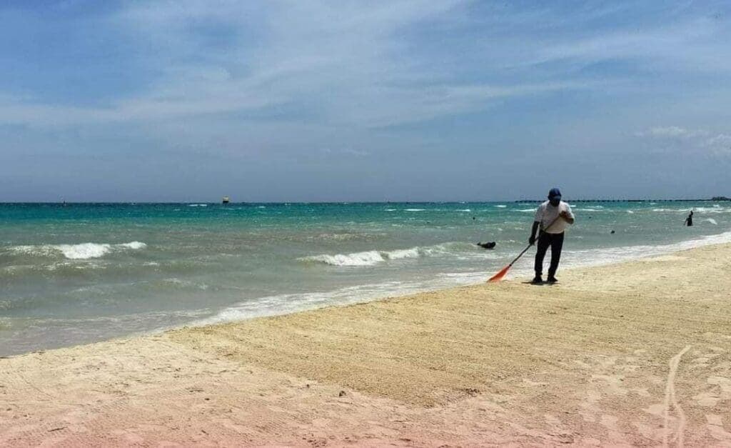 Propone Lili Campos empleos temporales para recoger el sargazo en las costas de Playa del Carmen