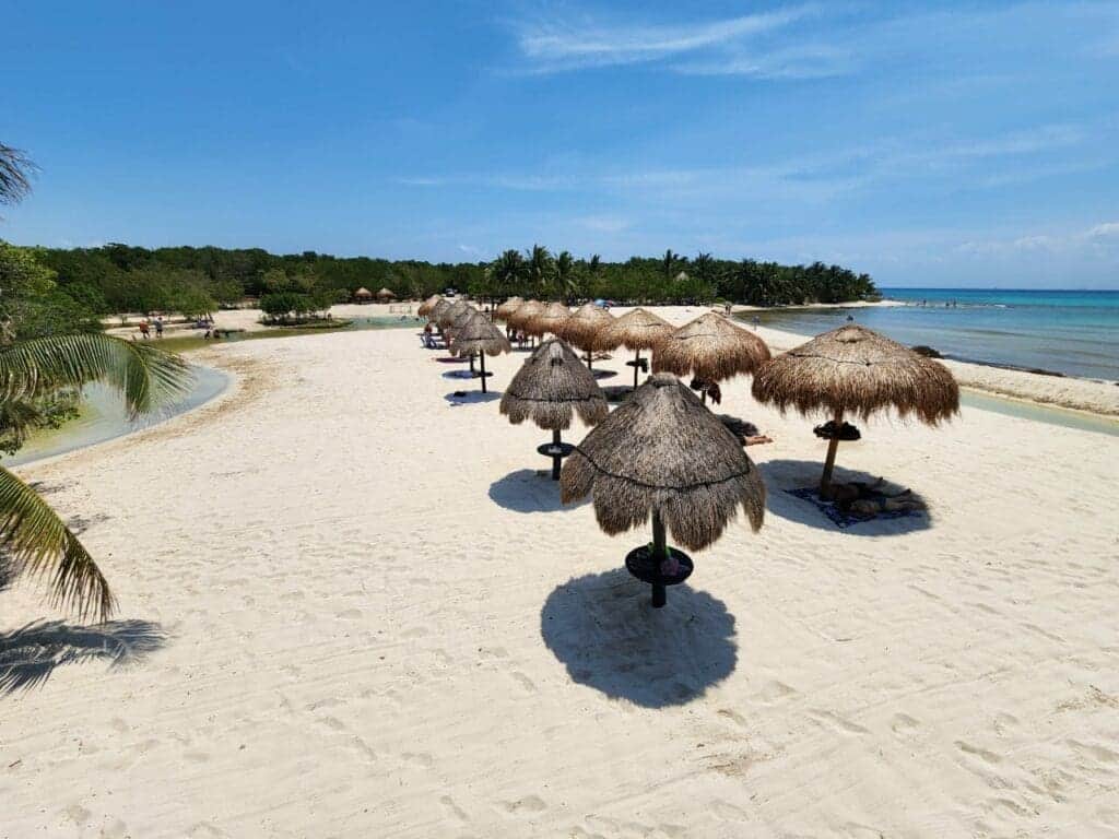 Costas limpias; van más de cinco mil toneladas de sargazo retiradas en Playa del Carmen en 2024