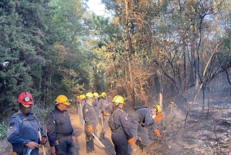 VIDEO: Incendios forestales en Valle de Bravo consumen más de 60 mil hectáreas