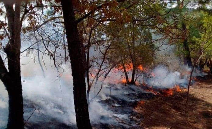 Oaxaca mantiene fase de alerta roja por 24 incendios forestales; van seis muertos