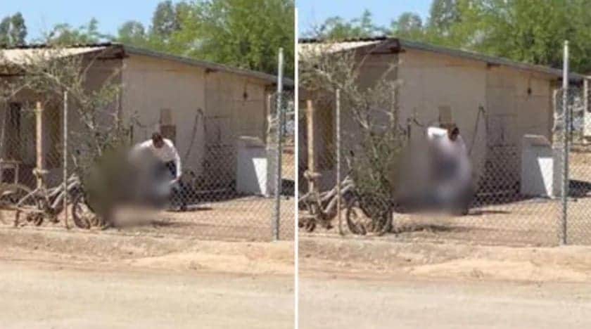 Hombre mata a perrito a palazos, frente a su dueño de ocho años en Mexicali