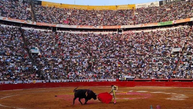 Permiten de nuevo las corridas de toros en la Plaza México; jueza niega suspensión definitiva