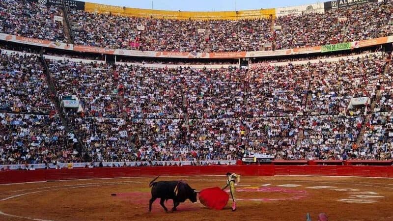 Permiten de nuevo las corridas de toros en la Plaza México; jueza niega suspensión definitiva