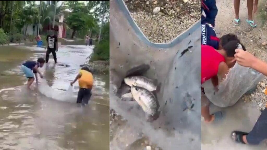 Pescan fuera de sus domicilios habitantes de varias colonias de Chetumal