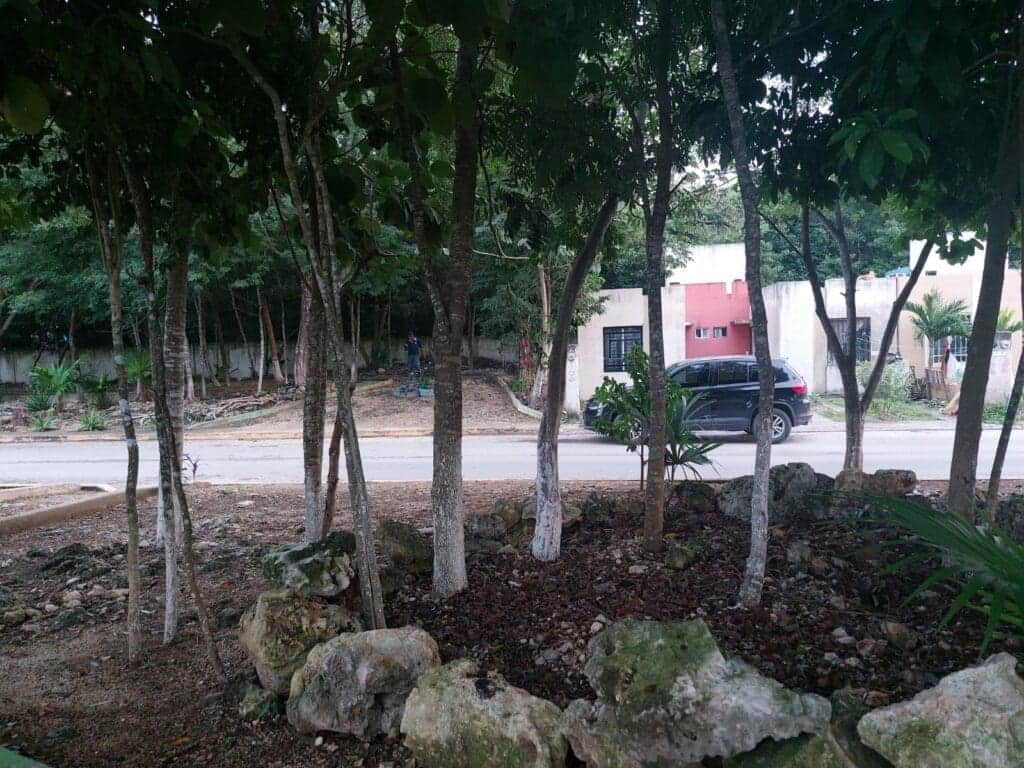 Denuncian ciudadanos que siguen los apagones en varios fraccionamientos del norponiente de Cancún