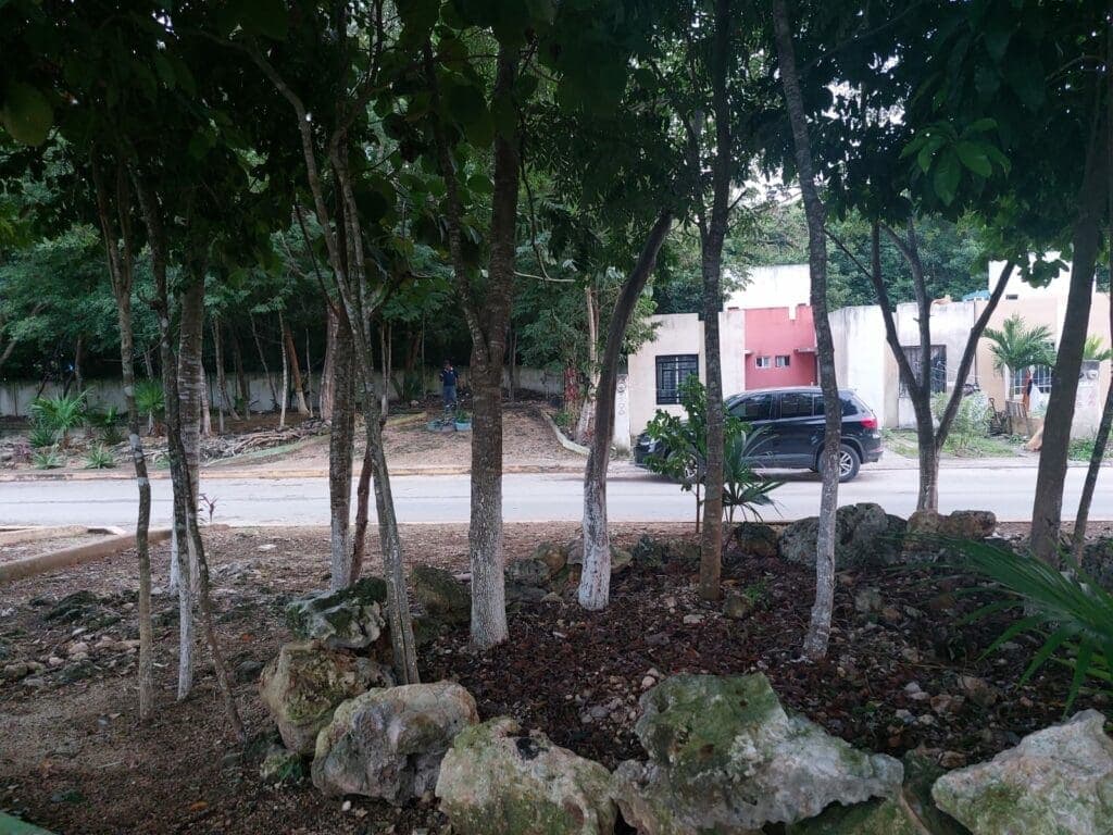 Denuncian ciudadanos que siguen los apagones en varios fraccionamientos del norponiente de Cancún