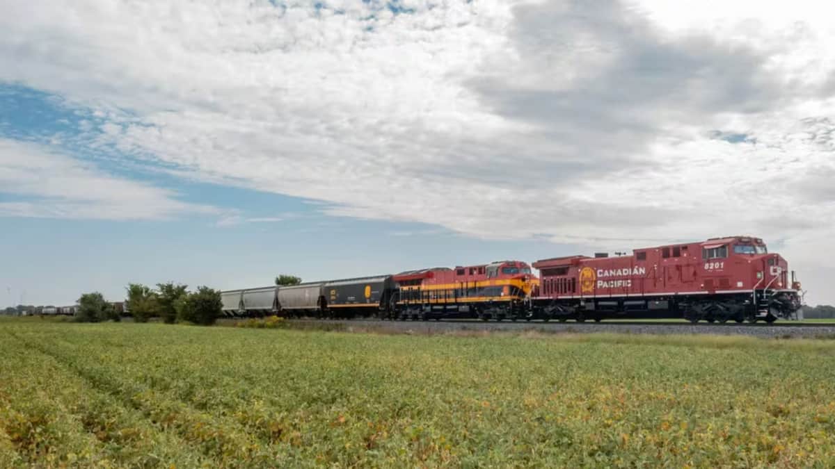 VIDEO: Mujer muere en Hidalgo tras ser golpeada por un tren mientras se tomaba un selfie