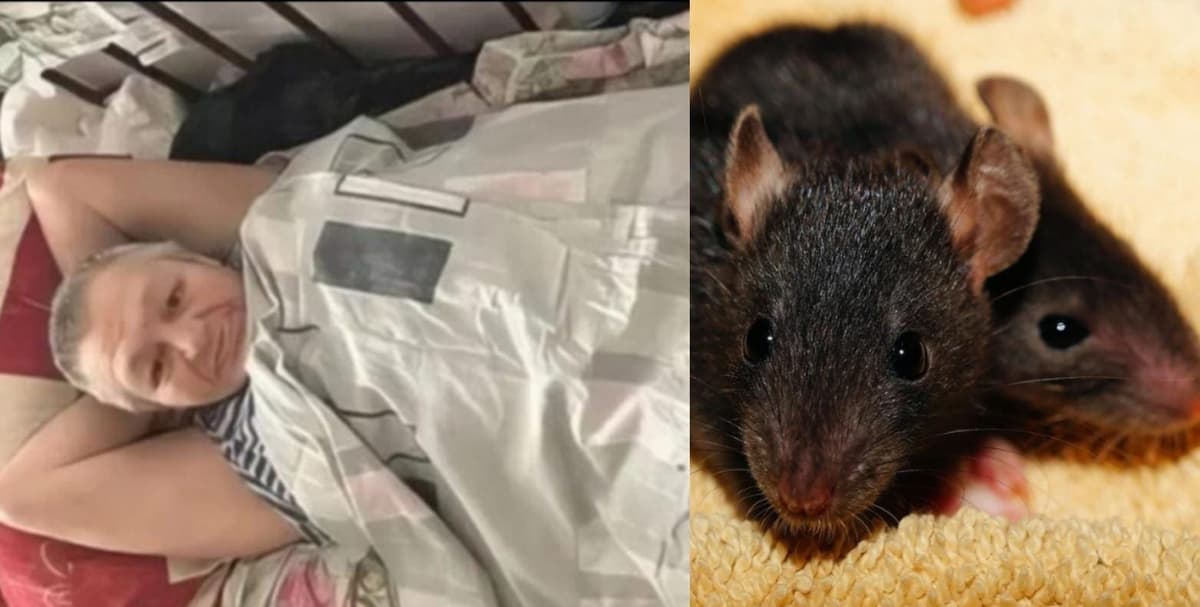 Amputan piernas a mujer en Rusia luego de ser atacada por ratas