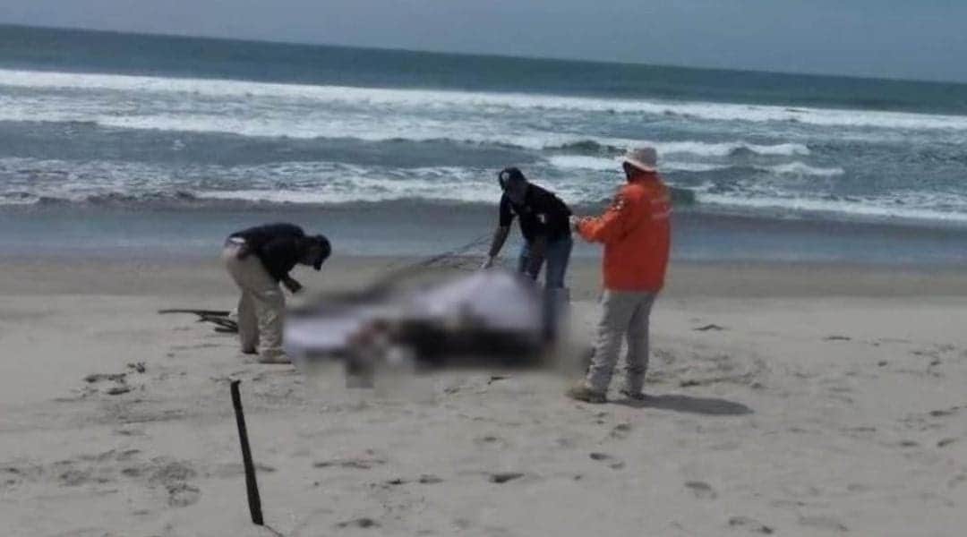 Investigan la muerte de tres migrantes durante naufragio en Oaxaca