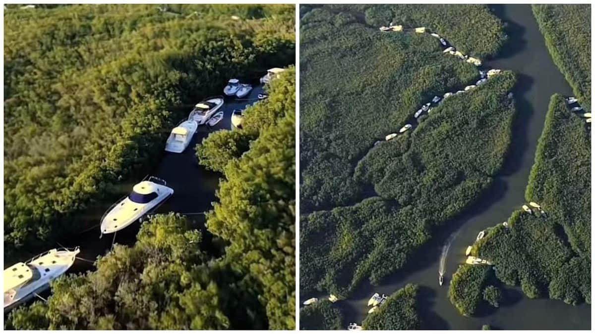 Video: Dueños de yates en Cancún resguardan sus embarcaciones en el manglar para evitar que el huracán Beryl los hunda