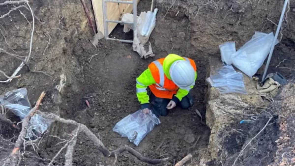 Hallan más de dos docenas de esqueletos en el jardín de un hotel en Reino Unido