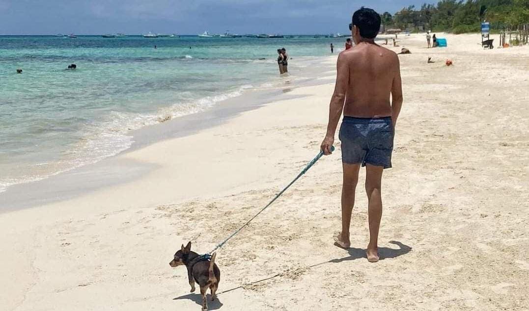 Playa del Carmen tendrá finalmente su primera costa pet friendly