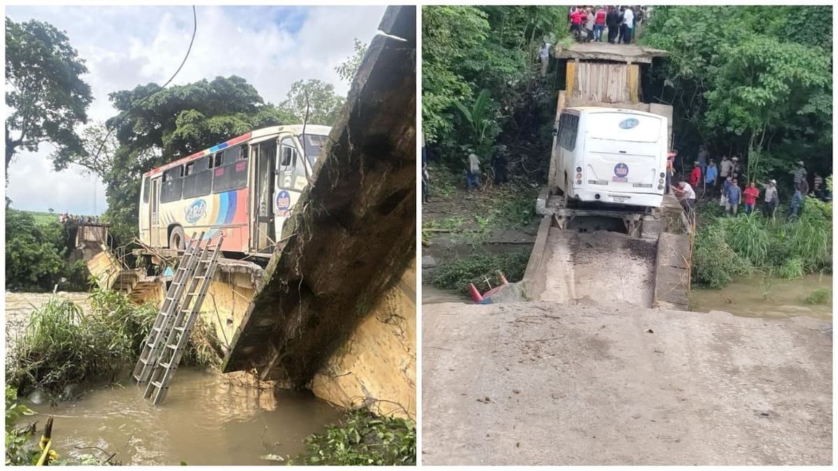 Se desploma puente con todo y autobús de pasajeros en Veracruz; murió una mujer