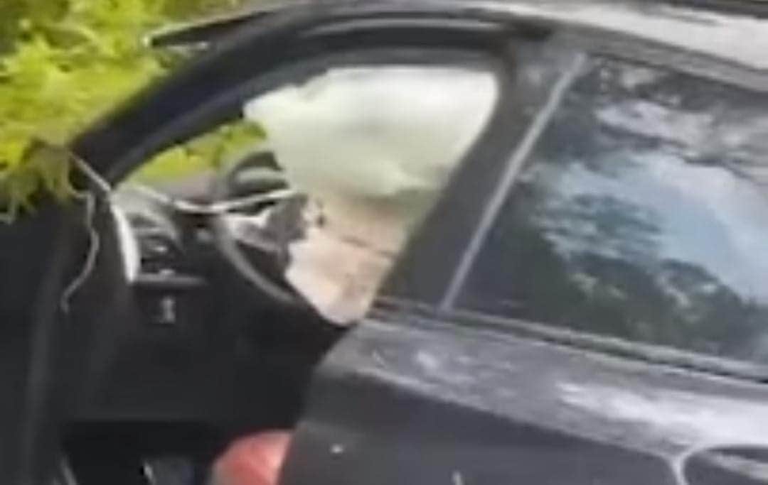 Muere sujeto a bordo de un vehículo BMW tras accidente en el tramo carretero Tulum-Cobá