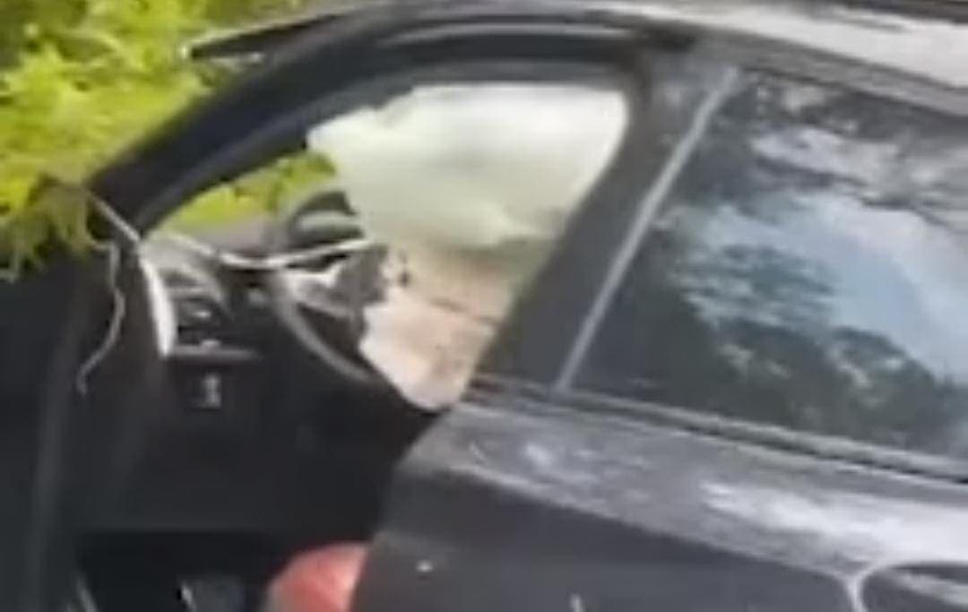 Muere sujeto a bordo de un vehículo BMW tras accidente en el tramo carretero Tulum-Cobá