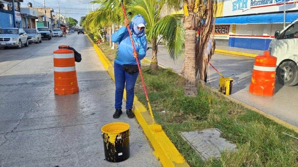 Gobierno de Solidaridad refuerza acciones de limpieza y reforestación