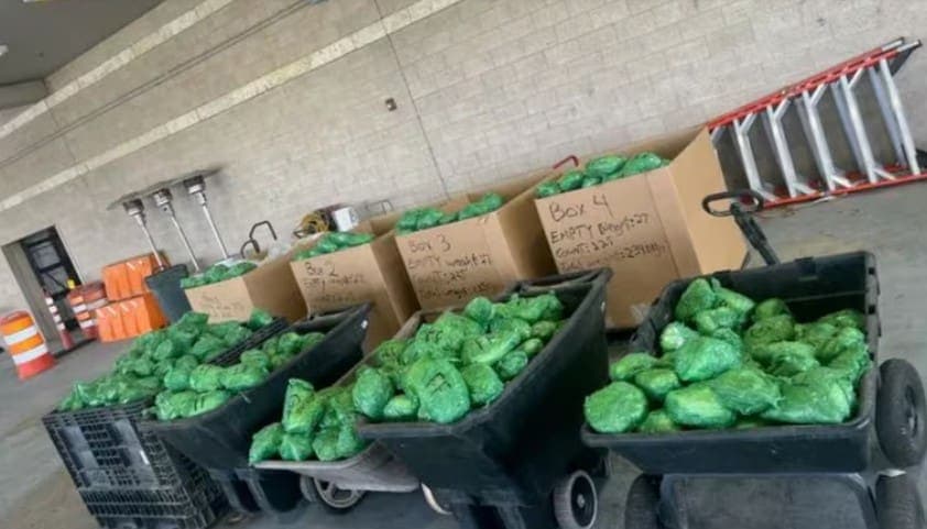 Aseguran cargamento de droga valorado en 48 mdd oculto en lechugas en puente Pharr-Reynosa