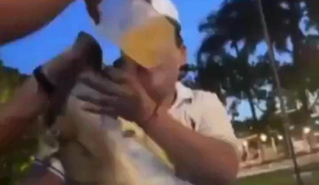 Video: Captan a jóvenes dando de beber alcohol a un perro callejero en Yucatán