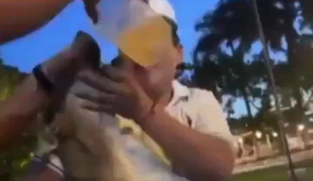 Video: Captan a jóvenes dando de beber alcohol a un perro callejero en Yucatán