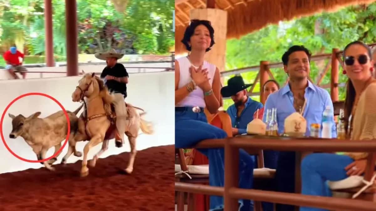 Internautas critican a Pepe Aguilar por supuesto maltrato animal durante jaripeo familiar