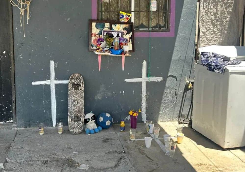 Mueren dos menores de edad por picadura de garrapata en Nuevo León