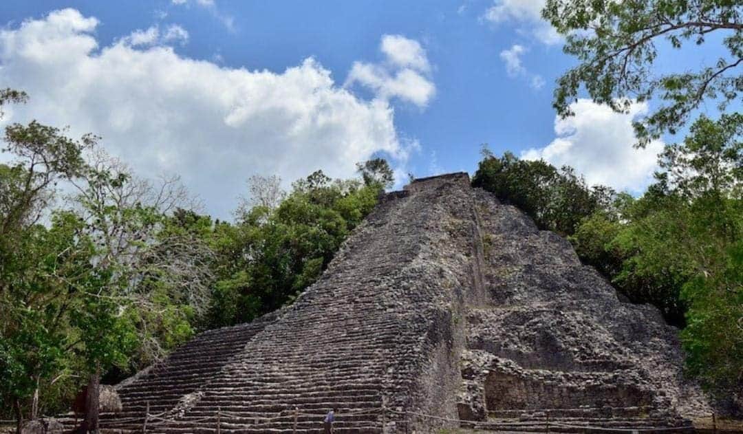 Descubren texto jeroglífico maya en la zona arqueológica de Cobá en Tulum, Quintana Roo