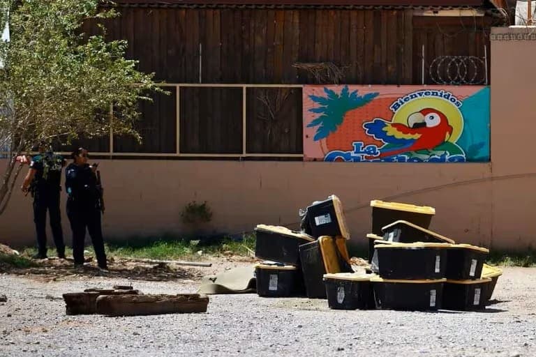 Abandonan 17 contenedores con tortugas muertas en Ciudad Juárez, Chihuahua