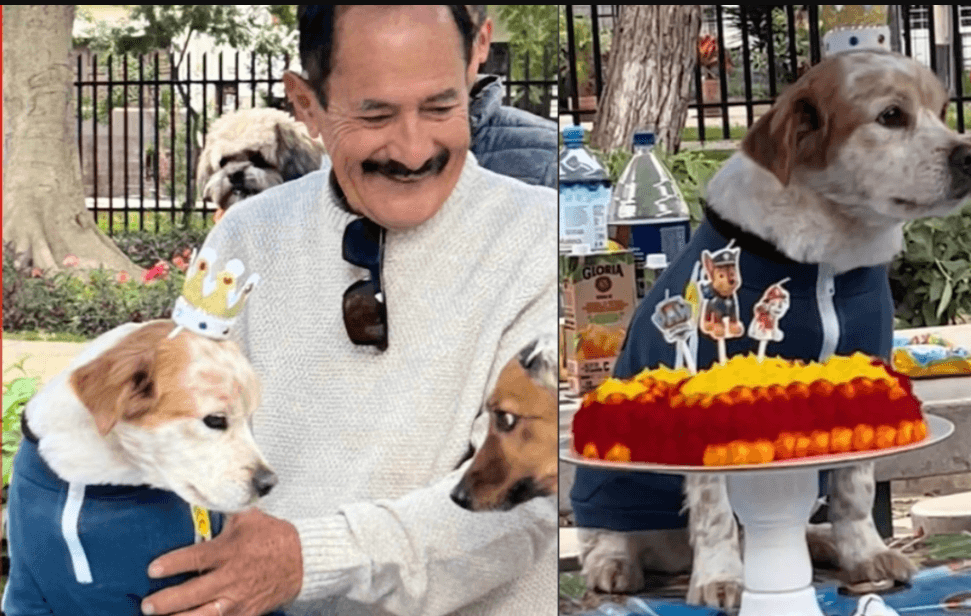 VIDEO: Hombre se hace viral por festejar 'en grande' el cumpleaños de su perrito en un parque