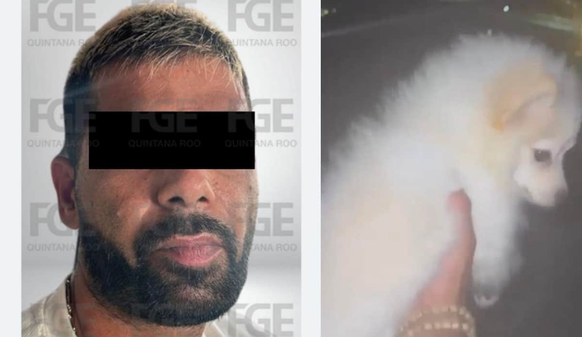 Detienen a extranjero que lanzó a un perrito desde un octavo piso en Cancún