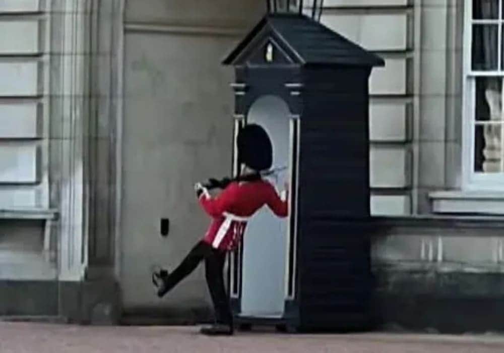 Video: Guardia del Palacio de Buckingham se cayó de espaldas mientras estaba de servicio
