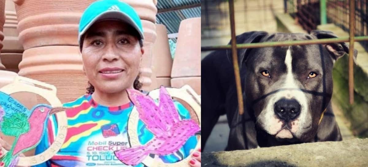 Corredora de Oaxaca podría perder sus brazos tras ser atacada por perros Pitbull