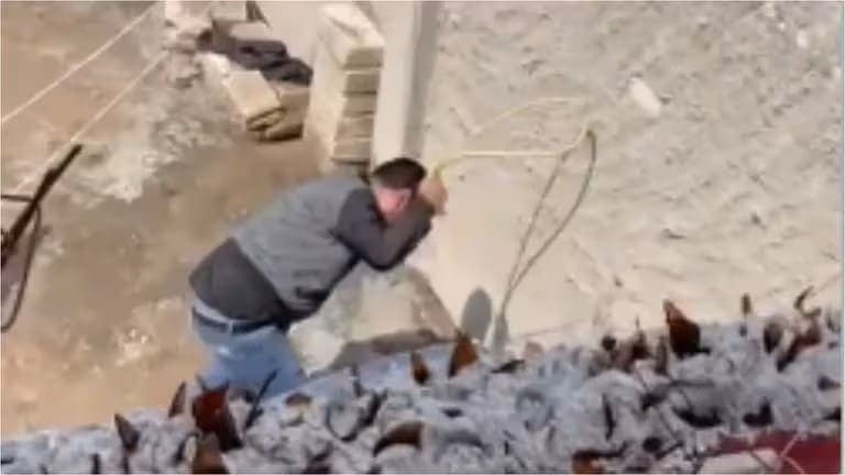 Rescatan a lomitos de dueño golpeador tras viralizarse video de maltrato en Pachuca