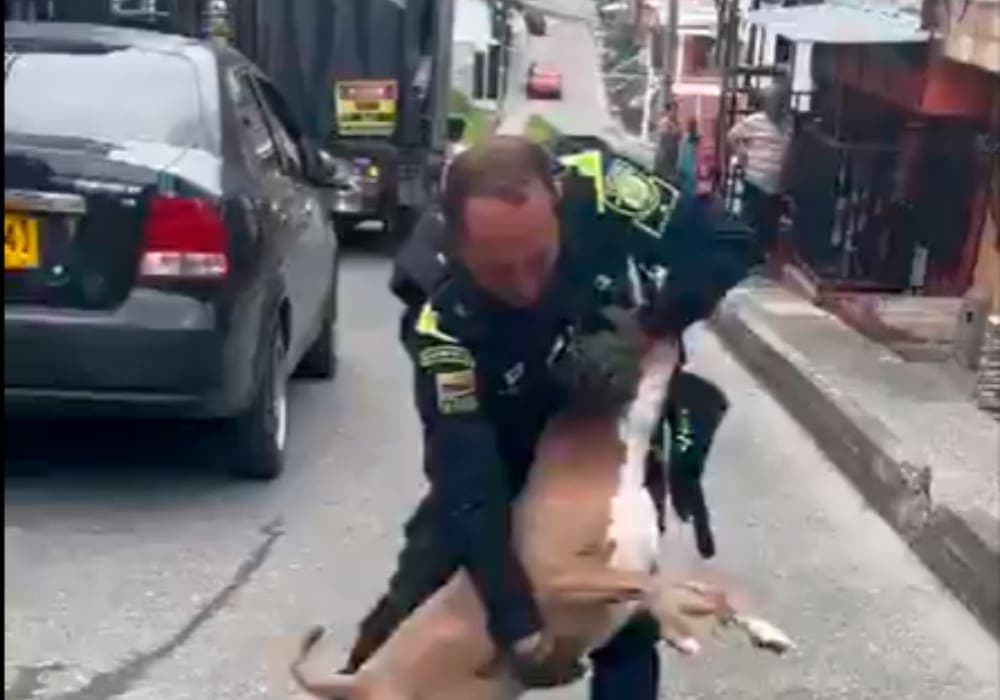 Video: Policía mata a balazos a un pitbull luego de atacar a uno de los agentes en Colombia