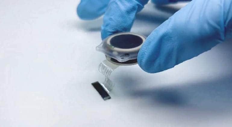 Neuralink crea chip que promete restaurar la vista a algunas personas ciegas