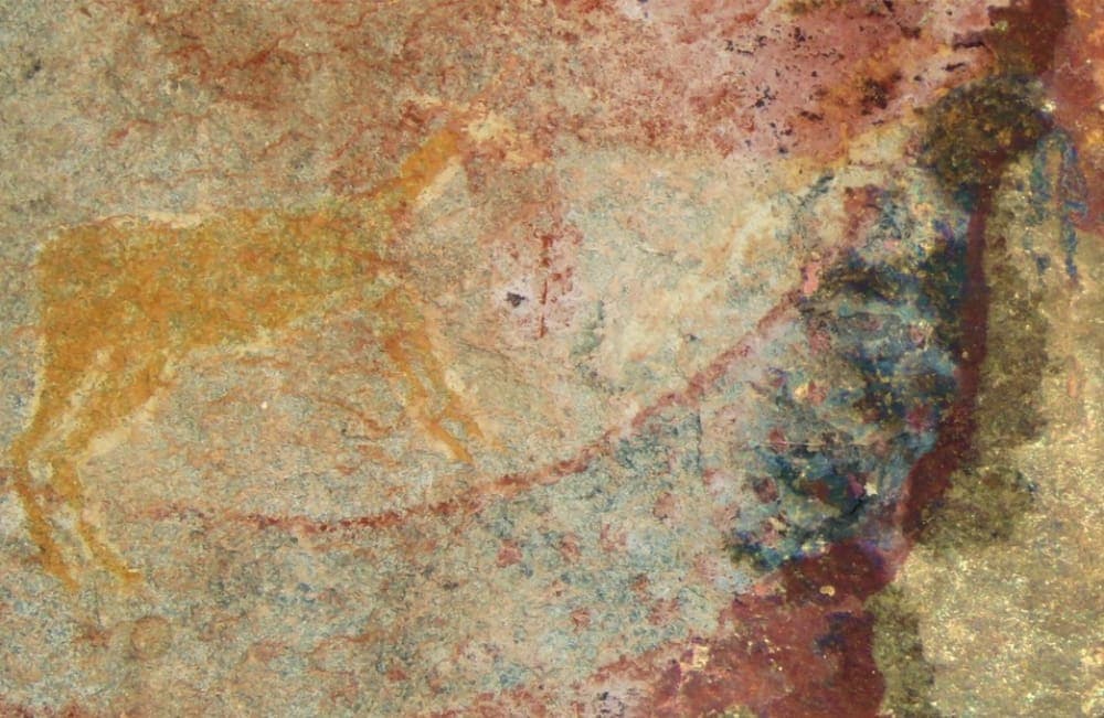 Hallan en Sudáfrica una pintura rupestre de un extraño animal que vivió antes de los dinosaurios