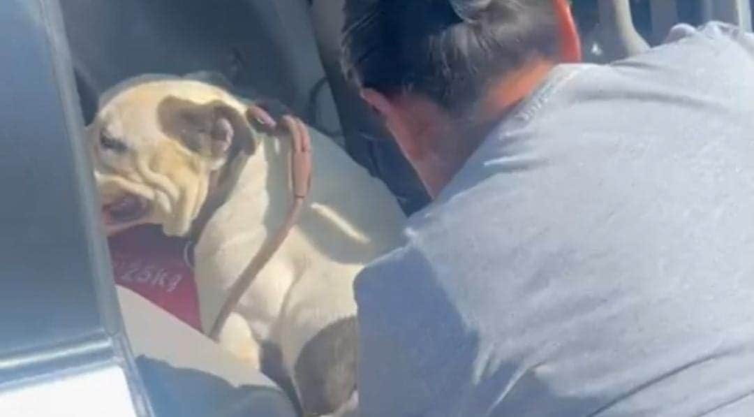 Video: Captan a adulta mayor arrastrando a un perrito en Puebla