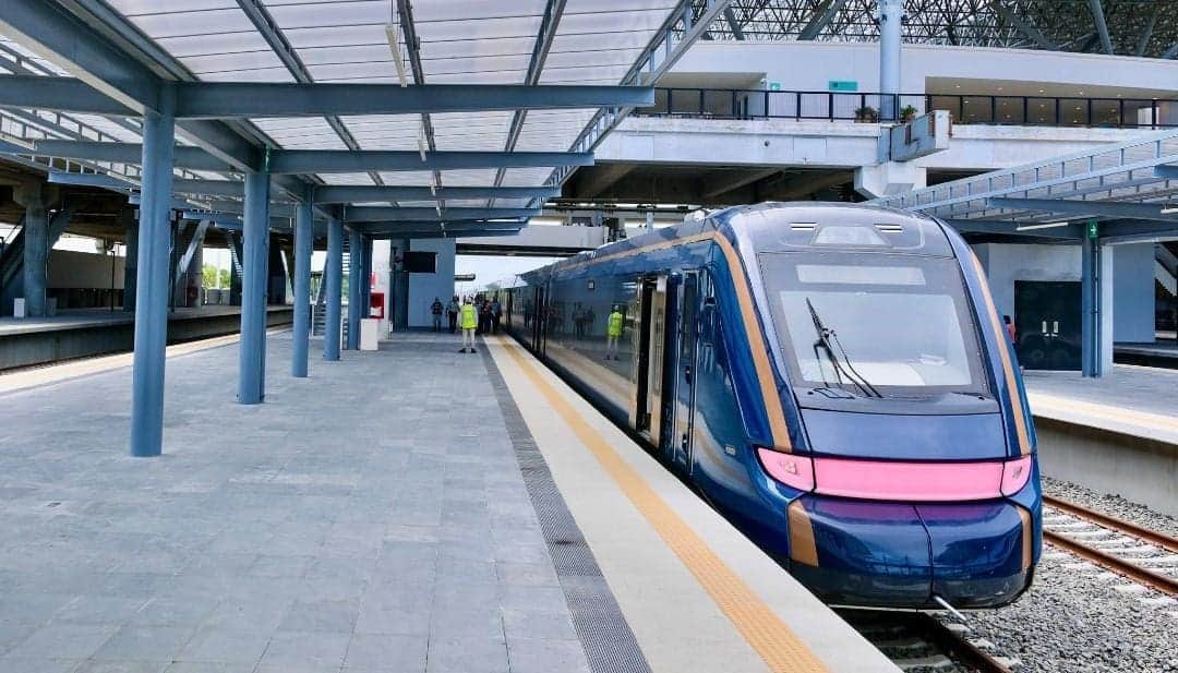 Piden activistas a Claudia Sheinbaum que detenga los daños ambientales causados por el Tren Maya