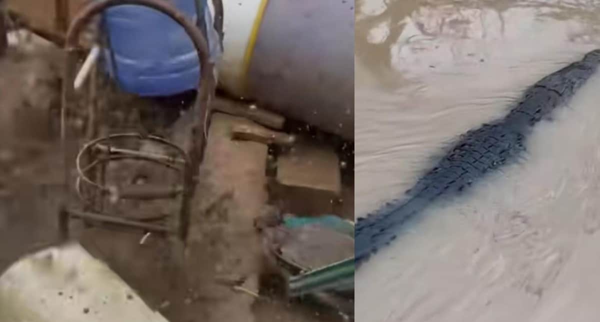 Video: Cerca de 40 cocodrilos merodean las playas y calles de Acapulco tras el paso de "John"