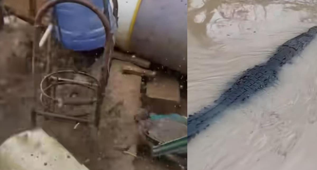 Video: Cerca de 40 cocodrilos merodean las playas y calles de Acapulco tras el paso de "John"