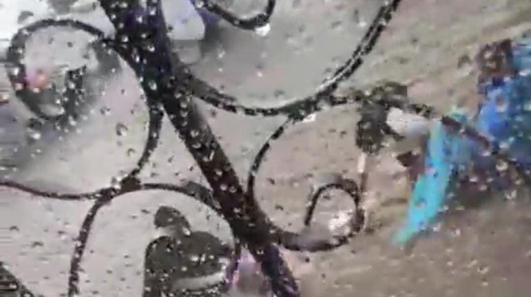 Video: Corriente arrastra a unos niños en Atlixco, Puebla tras las lluvias