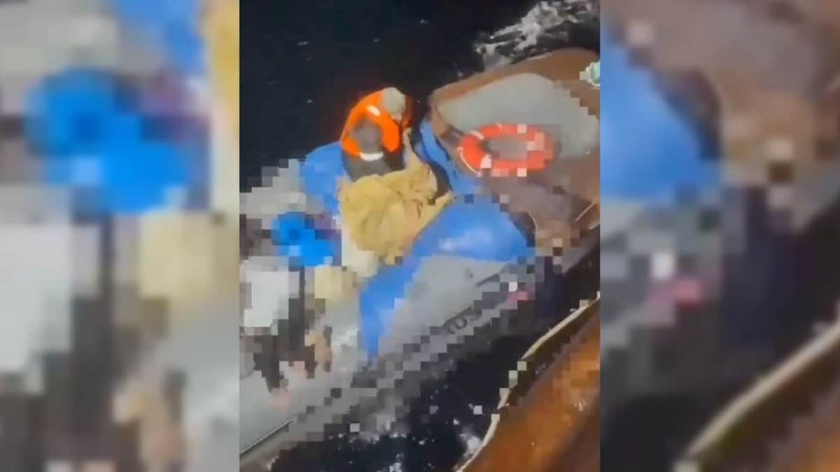 VIDEO: Rescatan a náufrago que pasó más de dos meses a la deriva con los cadáveres de sus familiares