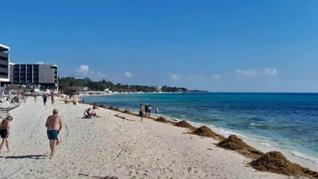 Obras del hotel Hyatt sí causaron erosión en Playa del Carmen, confirman autoridades municipales