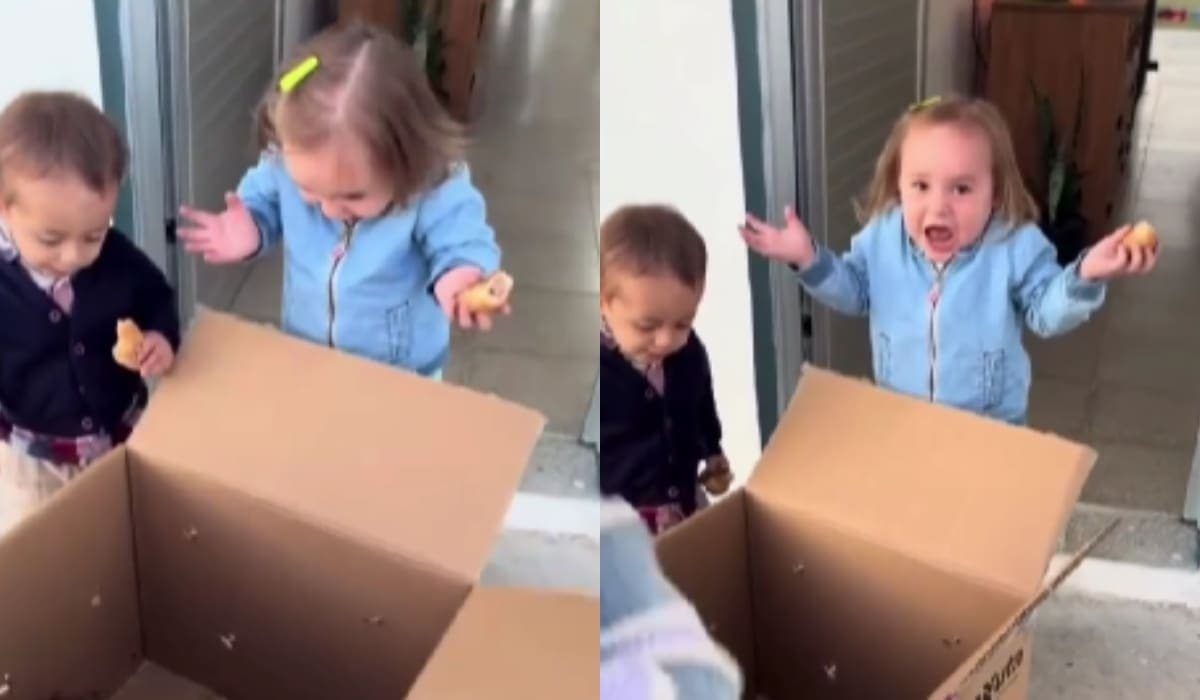 VIDEO: Niña pide una gallina de juguete, pero sus familiares le regalan una de verdad