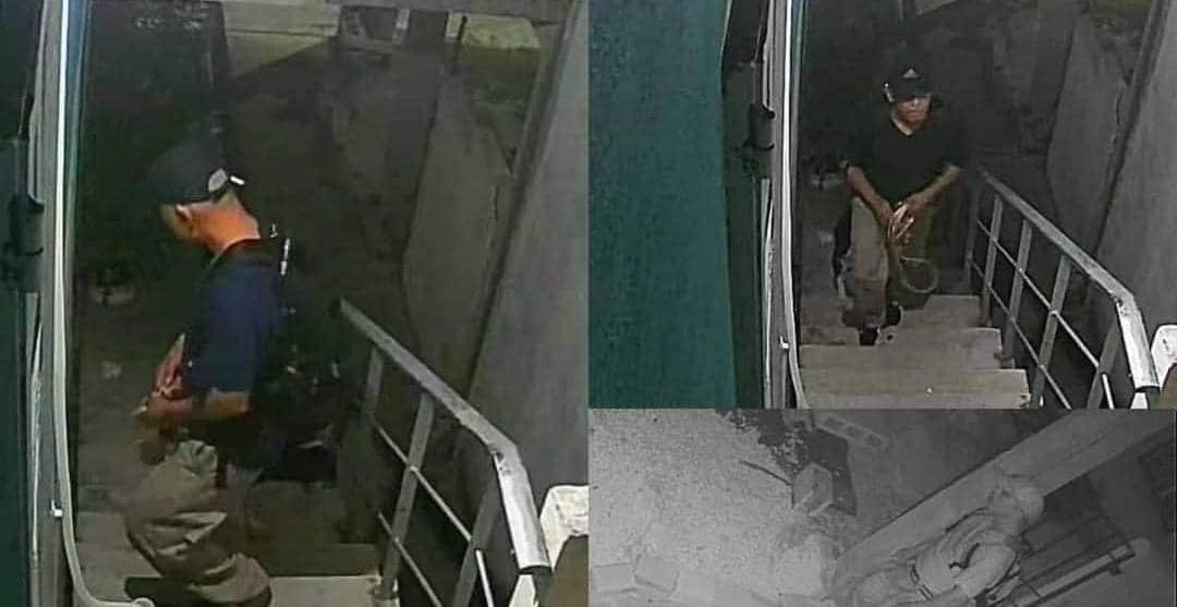 Investigan denuncia sobre presunto agresor de perros en Playa del Carmen